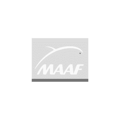 Logo Maaf