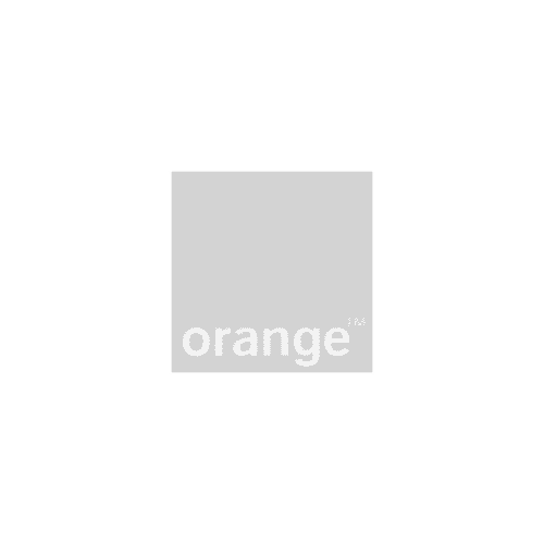 Logo Orange